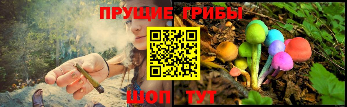 Артём  Псилоцибиновые грибы GOLDEN TEACHER  где купить наркотик  Вход с VPN 