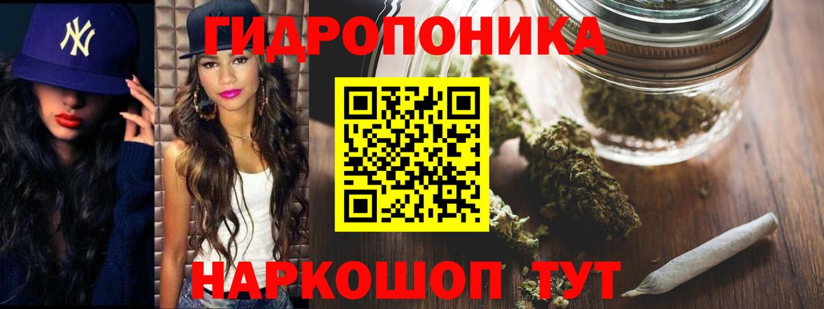 Бошки Шишки план Артём